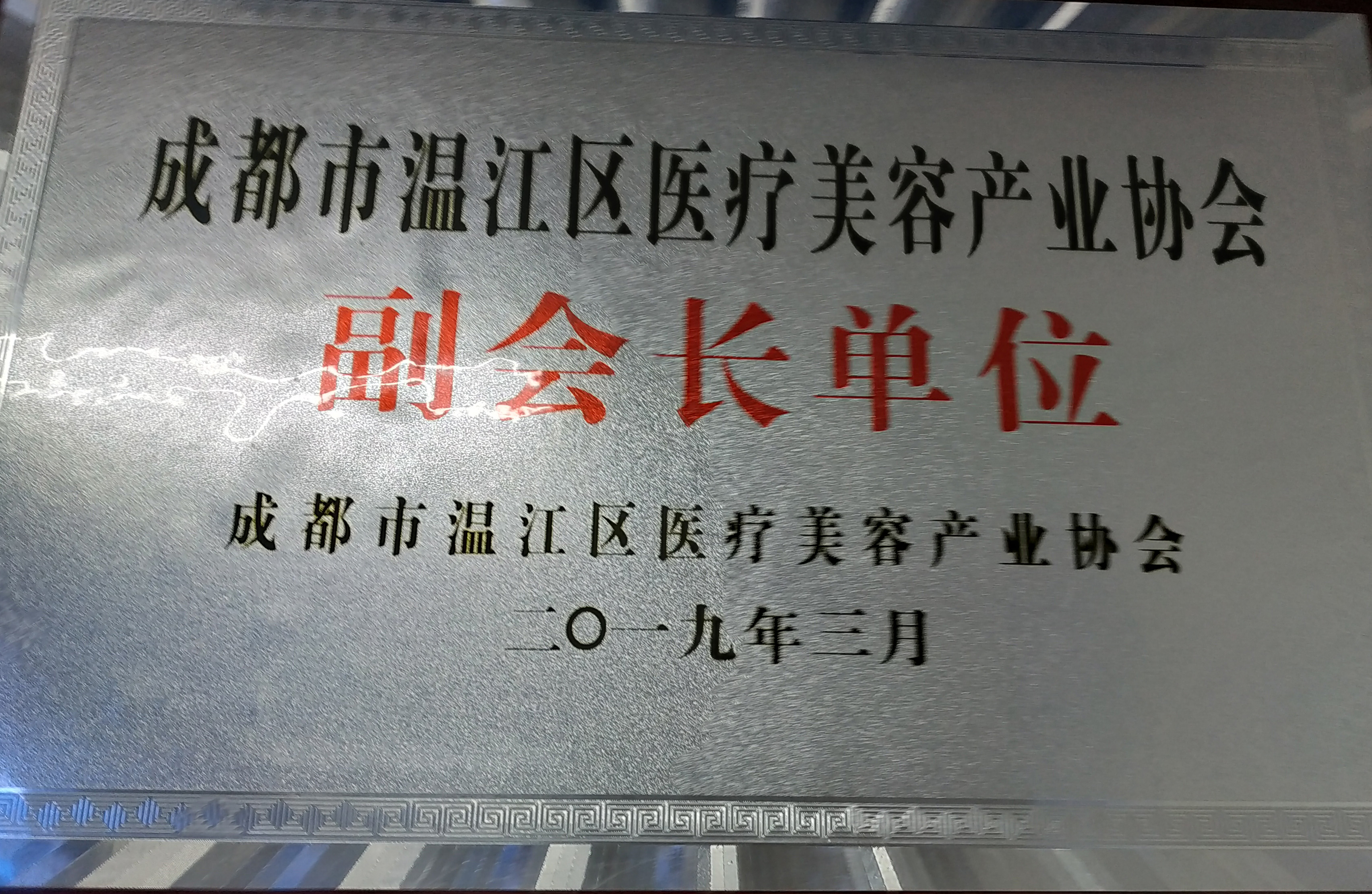 成都市溫江區(qū)醫(yī)療美容產(chǎn)業(yè)協(xié)會副會長單位.jpg