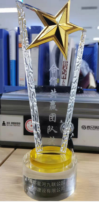 合作共贏團(tuán)隊(duì)獎(jiǎng).png